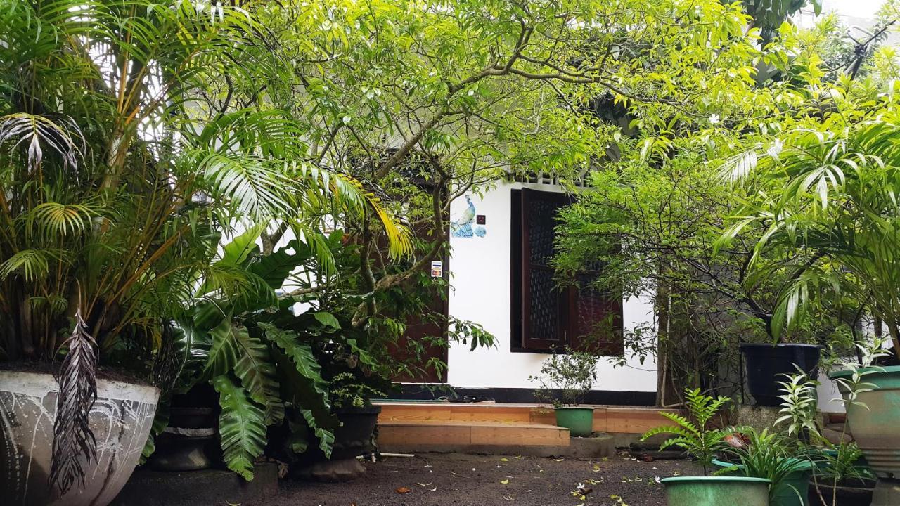 Green Garden Guest Mirissa Extérieur photo